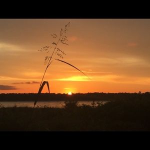 Meet your Posher, Kris